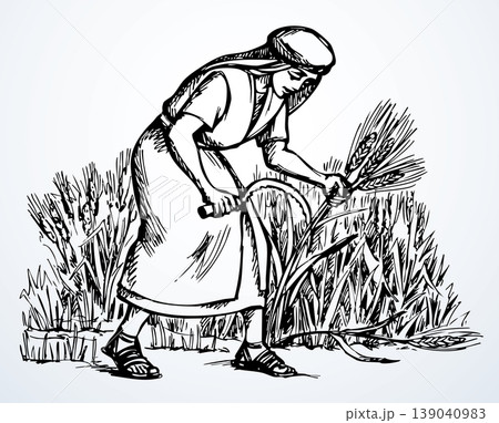 Vector drawing. Woman reaps a wheat 139040983