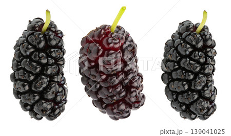 Set of fresh mulberries isolated on white background. Set of fresh mulberries isolated on white background. 139041025