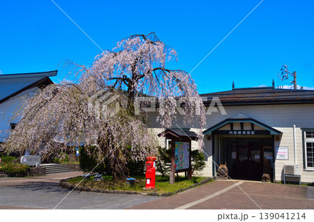春　桜　秋田内陸縦貫鉄道　角館駅 139041214
