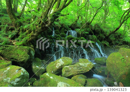 滝のある風景 滝のある風景 139041323