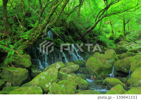 滝のある風景 滝のある風景 139041331