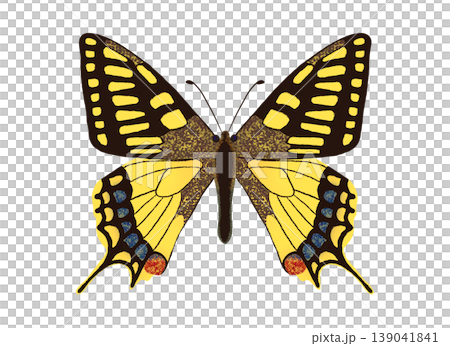 Swallowtail butterfly illustration, butterfly image, clipart, PNG. 139041841