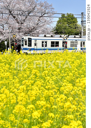 鉄道　私鉄・東武野田線　8000系　8163F 139041924