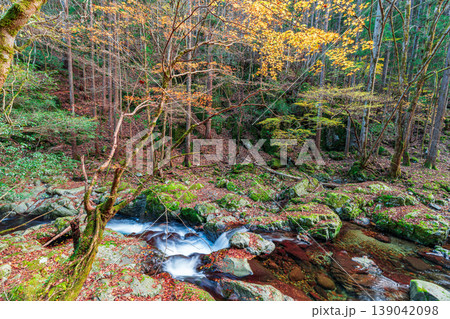 晩秋の赤西渓谷の風景2 兵庫県宍粟市 晩秋の赤西渓谷の風景2 兵庫県宍粟市 139042098