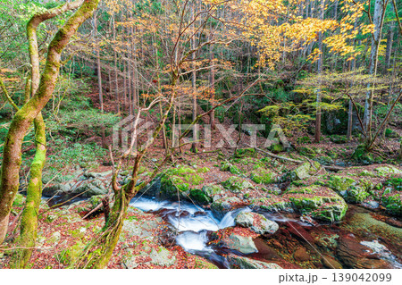 晩秋の赤西渓谷の風景3 兵庫県宍粟市 晩秋の赤西渓谷の風景3 兵庫県宍粟市 139042099