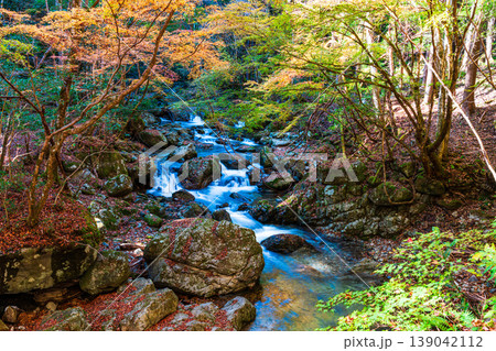 晩秋の赤西渓谷の風景4 兵庫県宍粟市 晩秋の赤西渓谷の風景4 兵庫県宍粟市 139042112