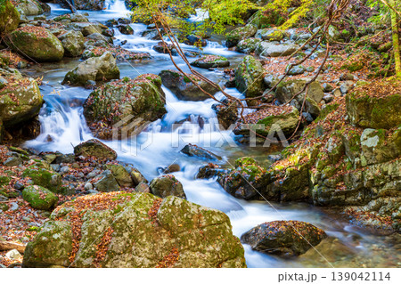 晩秋の赤西渓谷の風景6 兵庫県宍粟市 晩秋の赤西渓谷の風景6 兵庫県宍粟市 139042114