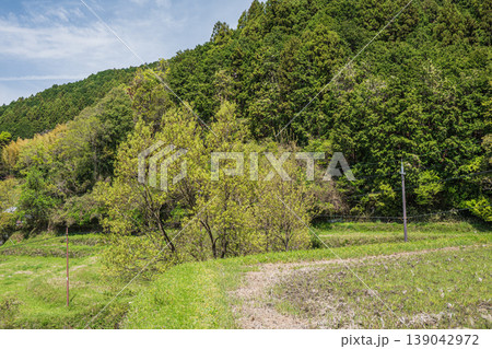 明日香村の景勝地 細川の棚田 奈良県明日香村 明日香村の景勝地 細川の棚田 奈良県明日香村 139042972