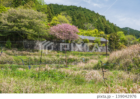 明日香村の景勝地 細川地区 奈良県明日香村 明日香村の景勝地 細川地区 奈良県明日香村 139042976