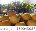 Lemons are placed on a tray in a dining space surrounded by plants.  139043087
