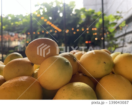 Lemons are placed on a tray in a dining space surrounded by plants.  139043087