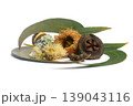 Globulus eucalyptus leaves with seeds on white background 139043116
