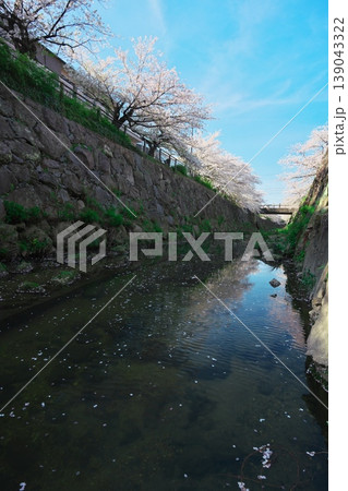 桜満開の山崎川 139043322