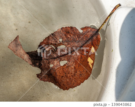 Rusty orange leaf floating in ultra-clear water with sunlight caustics. Macro of hyper-transparent liquid with optical refraction and copper textures in a serene, crystalline composition. 139043862