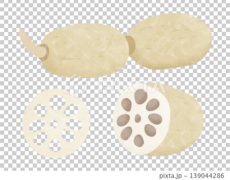 Lotus root 139044286