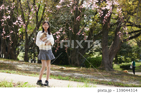 春の桜満開の公園で可愛いポメラニアンの子犬を連れて花見する女子中学生の姿 春の桜満開の公園で可愛いポメラニアンの子犬を連れて花見する女子中学生の姿 139044314