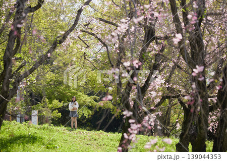春の桜満開の公園で可愛いポメラニアンの子犬を連れて花見する女子中学生の姿	 139044353