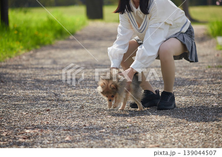 春の公園で可愛いポメラニアンの子犬を連れて散歩する女子中学生の様子	 139044507