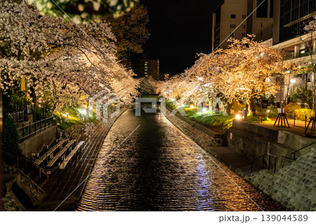 夜桜 ライトアップ 川 桜並木 花見 春 日本 夜景 桜 河川 都市風景 観光 139044589