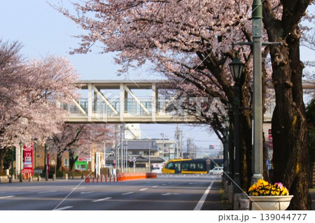 宇都宮LRT 宇都宮LRT 139044777