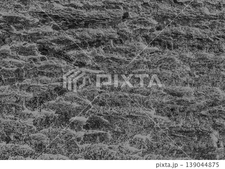 Tree bark abstract natural embossed wood texture natural gray rough background Tree bark abstract natural embossed wood texture natural gray rough background 139044875
