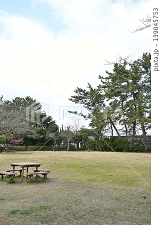 春の寺尾中央公園の広場と木々（新潟県新潟市西区） 139045753