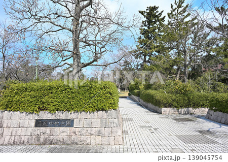 春の寺尾中央公園の広場と木々(新潟県新潟市西区) 春の寺尾中央公園の広場と木々(新潟県新潟市西区) 139045754