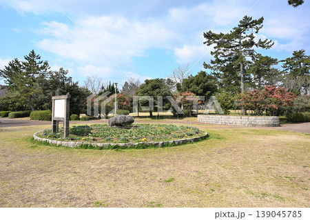 春の寺尾中央公園の広場と木々(新潟県新潟市西区) 春の寺尾中央公園の広場と木々(新潟県新潟市西区) 139045785