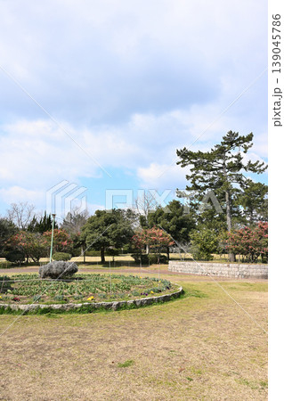 春の寺尾中央公園の広場と木々(新潟県新潟市西区) 春の寺尾中央公園の広場と木々(新潟県新潟市西区) 139045786