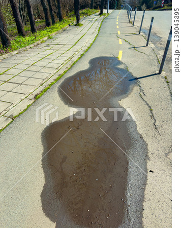 Reflection of trees on a puddle near the sidewalk in a sunny park in springtime 139045895