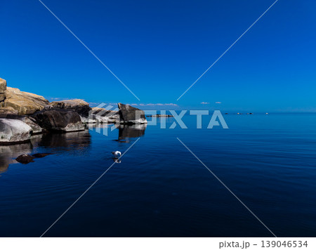 Open water with rocks and a bird near the shore under a clear blue sky during midday at a tranquil coastal area Open water with rocks and a bird near the shore under a clear blue sky during midday at a tranquil coastal area 139046534