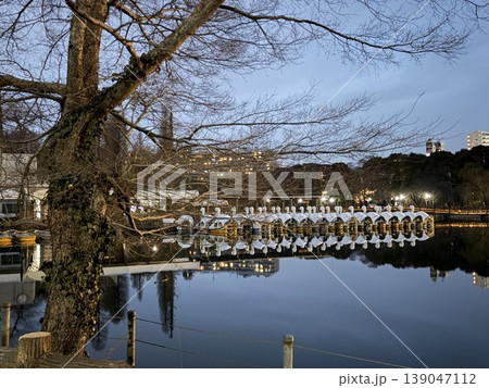 井の頭恩賜公園の夜景 水面に映るスワンボートと都会の灯り 139047112