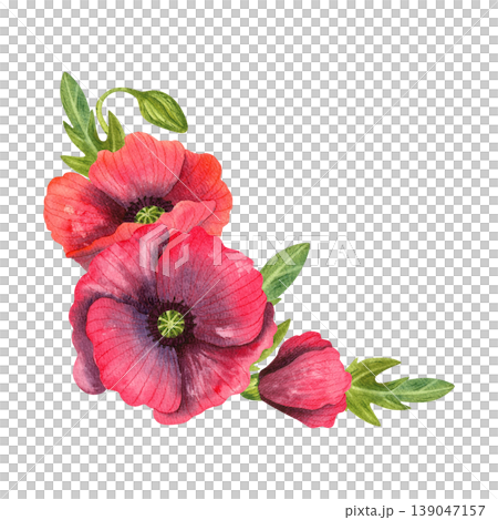Red poppies, isolated watercolor corner composition. Bright fresh flowers with green leaves, hand drawn. Colorful plants for floral cards, invitations, prints. Red poppies, isolated watercolor corner composition. Bright fresh flowers with green leaves, hand drawn. Colorful plants for floral cards, invitations, prints. 139047157