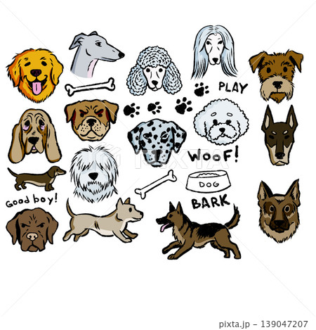 Dog breeds collection, colorful pet head set, hand drawn domestic animal face. Funny puppy portrait, bright canine sticker kit, doodle sketch dog breeds. Dog breeds collection, colorful pet head set, hand drawn domestic animal face. Funny puppy portrait, bright canine sticker kit, doodle sketch dog breeds. 139047207