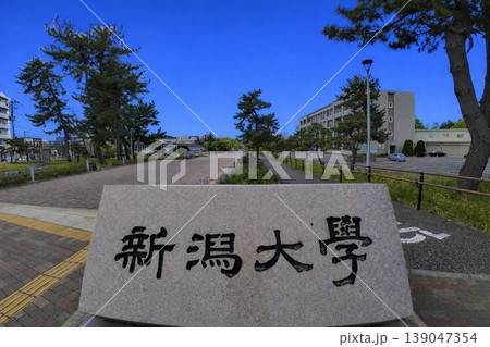 新潟大学 新潟大学 139047354