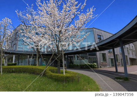 新潟大学 新潟大学 139047356