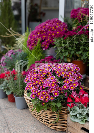 Beautiful colorful flowers in a Flower shop. Beautiful colorful flowers in a Flower shop. 139047780