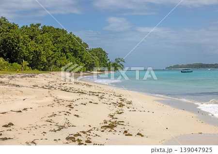 Tropical beach with person walking in Bocas del Toro Panama 139047925