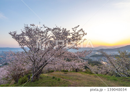桜咲く高津子山から望む和歌山市内 139048034