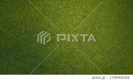 Green grass background, top view background of garden bright grass concept used for making green backdrop. 139048266