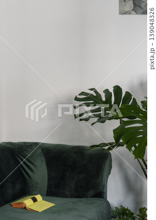 Minimalist apartment interior elements, velvet sofa and adult Monstera deliciosa, vertical copy space poster Minimalist apartment interior elements, velvet sofa and adult Monstera deliciosa, vertical copy space poster 139048326