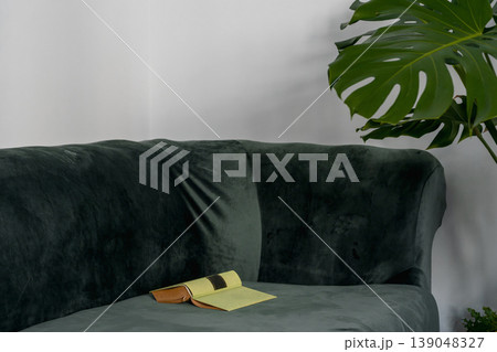 poster with details of the interior of a minimalist apartment, a velvet-upholstered sofa and leaves of a young giant Monstera deliciosa in the corner of the frame, poster with copy space for text 139048327
