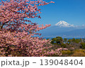 静岡県沼津市井田　斜面の早咲き河津桜と駿河湾越しの雪化粧の富士山の景色 139048404