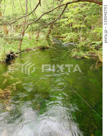 上高地・梓川のエメラルドグリーンの清流と新緑 上高地・梓川のエメラルドグリーンの清流と新緑 139048701
