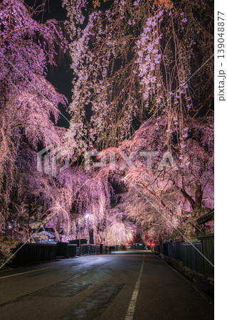 夜の角館 武家屋敷通りに咲き誇る幻想的なしだれ桜のライトアップ 139048877