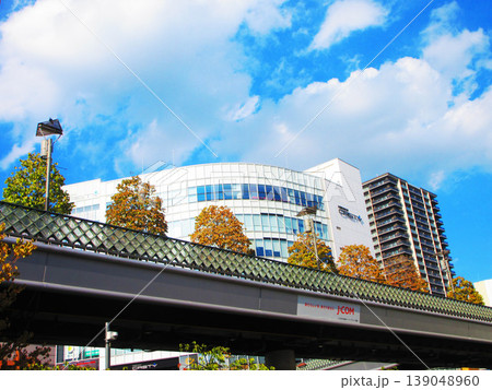 埼玉県川口市の川口駅前界隈の風景 139048960