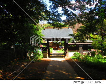 埼玉県川口市の興禅院の風景 埼玉県川口市の興禅院の風景 139048976