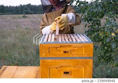 Beekeeper opening hive, handling wooden frames, bees on honeycomb, apiary close-up, beekeeping equipment, natural honey production, rural scene. Beekeeper opening hive, handling wooden frames, bees on honeycomb, apiary close-up, beekeeping equipment, natural honey production, rural scene. 139049048