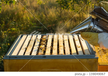 Apiary frame, bees, smoker, rural bee farm, colony management, beehive care, beekeeping tradition, organic honey production, eco-friendly pollination. 139049067