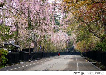 秋田・角館の武家屋敷通りに咲き誇る満開のしだれ桜と伝統的な黒塀の街並み 139049089